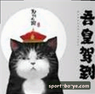 刘先生